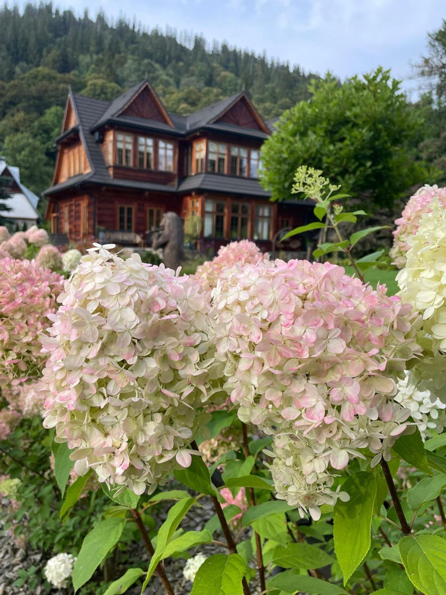Niedzwiedzia Residence Поронин Екстериор снимка